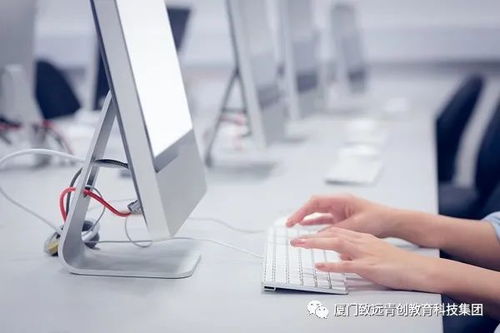 计算机软件服务 就业前景与未来方向分析